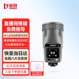 金貝H1圆头LED机顶闪光灯便携外拍TTL高速同步 H1标配【金属灰】 索尼版（仅适用于索尼相机）