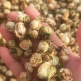 云南普洱茶花古树茶花纯天然太阳晒干 300g（花骨朵）