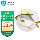 环球水产南海大规格金鲳鱼550g1条 BAP认证 海鱼 生鲜鱼类 火锅 海鲜水产