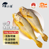 黄小渔【冰鲜】宁德BAP认证黄花鱼 700-800g/条*2 生鲜大黄鱼源头直发