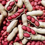 北蔬 花生种子原种新品种产高黑花生红皮四粒红农科院种籽 四粒红皮花生种子 3斤【带壳】