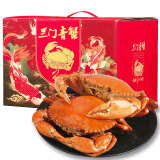 【活蟹】掌昕鲜三门青蟹 公母对蟹（4-5两/只）8只 铂金装生鲜活螃蟹海鲜礼盒源头直发