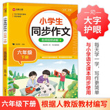 小学生同步作文 六年级下册 根据小学人教版语文教材编写 作文专项训练 单元作文题详解 理清写作思路 好词好句好段素材积累 彩色印刷 大字 宽行距