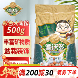 德沃多肥料 彩色大陶粒500g花用鱼缸多肉铺面石花盆垫底水培装饰陶土粒球营养土