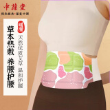 中葆堂(JOBIOTAL)艾草暖腰贴热敷贴暖腰带暖腹贴发热贴6片装