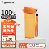 特百惠（Tupperware）茶韵500ML塑料杯 男女学生便携办公用水杯子大容量双饮口 橘花橙