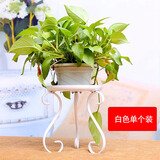 坤奉花盆架客厅简约桌面花架落地式绿萝铁艺迷你花架置物架窗台绿植架 白色【升级款】单件装