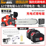 道什威尔（TOSRWELL）德国大功率锂电锯电链锯家用油锯木工果园修枝电锯伐木锯电动农具 【高端款】15节二电二链