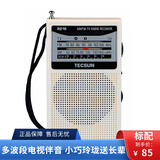 德生（Tecsun） R218调频调幅电视伴音半导体收音机 白色 标配