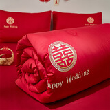 艾维（I-WILL）新婚快乐被芯喜被刺绣被子春秋四季棉被双人 约5.4斤 2.2*2.4m 红