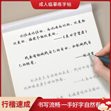 宛陵文韵 遥寄星河行楷手写体字帖 优选网络美文 名著成人练字帖女士女生字体漂亮行书临摹钢笔硬笔大学生