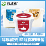 西域春【新疆直发】新疆西域春原味桶装酸牛奶大桶全脂风味水果捞发酵乳 丝滑冰激凌口味1000g