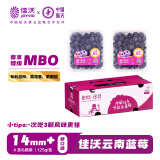 佳沃（joyvio）云南当季蓝莓MBO系列 14mm+中果 4盒礼盒装 约125g/盒 新鲜水果