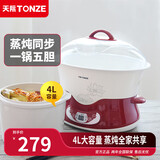 天际（TONZE）电炖锅 隔水炖 煮粥 炖汤  电煮锅家用煲汤锅燕窝滋补养生智能预约大升数电炖盅 家庭款【隔水蒸炖】3-6人|5胆【 4L 】