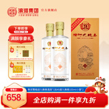 滨河九粮春53度白酒 甘肃名酒 九粮香型白酒整箱 粮食酿造宴请接待用酒 53度 500mL 2瓶 【两瓶装】