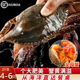 渔吻【鲜活】青岛梭子蟹活螃蟹海蟹礼盒飞蟹梭子蟹花蟹白蟹 【全母蟹】超大2斤（4-6只）