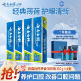 云南白药牙膏留兰香型薄荷减轻牙龈出血家庭装牙刷口气清新养护口腔不含氟 薄荷香型230g×4+洗护套装