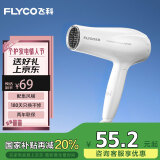 飞科（FLYCO）电吹风机家用发廊大功率2000W速干恒温便携可折叠白色FH6232