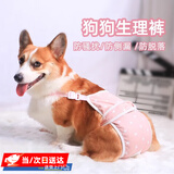 智宙狗狗生理裤母狗姨妈月经期安全裤柯基用品宠物内裤中小型犬防孕 XL 码【19-28斤内的毛孩子】