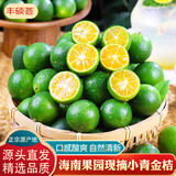 京地达海南现摘新鲜小青桔金桔250g青柑应季青柠檬小金橘子源头直发包邮
