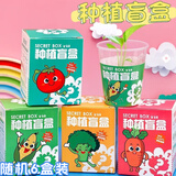 兰酷帕儿童玩具种子植物盲盒小盆栽学生奖品伴手礼物幼儿园分享六一礼品