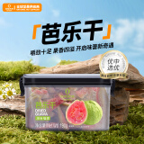 佰斯纳特芭乐干190g 红心番石榴果干办公室聚会休闲小吃零食