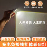 芃彩人工智能语音灯感应灯led插口控制灯USB声控灯小夜灯一体床头灯 水滴灯人体感应灯【白光】