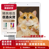 Apple苹果iPad mini5/6 iPadair3/4 2021款iPadPro二手平板电脑 iPad mini4 WIFI版 64G WiFi版  95成新