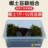 萌龟饲家乌龟冬眠用品巴西龟过冬椰土苔藓草沙土垫材保温冬眠窝乌龟冬眠箱 免泡椰土1斤+50克苔藓