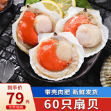 海宏盈青岛扇贝 1500g 鲜活急冻带壳大扇贝蒜蓉粉丝扇贝半壳贝类海鲜 大规格扇贝6-7厘米60只