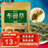 修年堂  车前草250克干货 车轮菜 牛舌草养生茶饮 药食同源