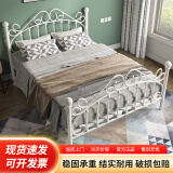 L&S床铁艺床欧式铁架床现代简约双人床卧室主卧出租房宿舍床YC-10 白色2*1.8m【加粗框架】