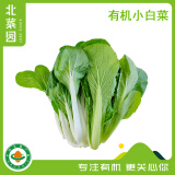 北菜园有机小白菜250g火锅食材有机新鲜蔬菜  【两个品种随机发送】生鲜