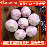 玉燕妃云南正宗新鲜紫皮独头大蒜独蒜干蒜 农家露天自种助农生鲜蔬菜 蒜王 4.5cm以上 紫皮独蒜干蒜 6斤