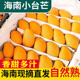 海南小台农芒果9斤新鲜现摘小台芒应当季时令热带水果整箱甜心芒 3斤 【小果】尝鲜装