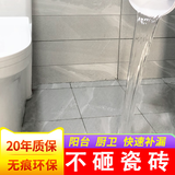 瑞莱沃卫生间防漏水免砸砖渗透型防水剂透明防水涂料瓷砖厕所浴室堵漏王 1000g免砸砖 可施工约3-4平米