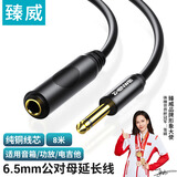臻威（ZHENWEI）6.5mm音频线 6.35大二芯连接线 音箱功放麦克风电吉他电子琴鼓调音台转接线 公对母 8M