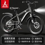 凤凰（Phoenix）儿童自行车6-12岁中大童男孩山地车青少年变速学生车单车小学生车 A6- 金属灰- 变速辐条轮 20寸(适合身高130-150cm)