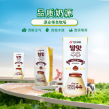 宾格瑞板栗味牛奶 韩国原装进口牛奶 饮料儿童学生早餐奶200ml*6年货