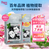 Bigen美源宣若 发采快速黑发霜 160g（天然黑 881s）国产加量 植萃盖白