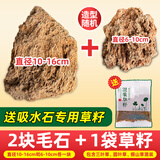 石光小站吸水石毛石上水石假山盆景尾货庭院观赏装饰室内客厅送礼摆件石头 2块吸水石毛石试用装+送混装草籽
