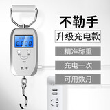 凯丰 便携式手提秤50kg电子称行李秤快递秤弹簧秤电子秤精准克称 【充电款银色】称重0.05kg-50kg