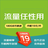 中国联通 通用流量卡高速5G手机卡不限速钉钉卡低月租电话卡大流量高速上网卡山楂卡 流量王19月租包无限流量（线上过户）