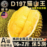 松筱马来西亚猫山王榴莲D197冷冻液氮新鲜水果顺丰快递礼盒装 A+特级果6.6-7.1斤 【1到2个果】 【人工精选+包熟包甜包房】