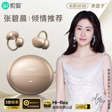 索爱（soaiy）GK58 AI智能蓝牙耳机耳夹式开放式真无线不入耳运动跑步适用华为荣耀小米苹果翻译耳机同声传译 金