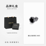 SINCE YOU莫比乌斯银耳钉男复古个性黑色耳环磁吸高级耳夹无耳洞女生日礼物 太空灰-黑玛瑙耳钉款（单只）