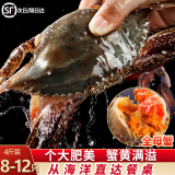 渔吻【鲜活】青岛梭子蟹活螃蟹海蟹礼盒飞蟹梭子蟹花蟹白蟹 【全母蟹】超大4斤（8-12只）