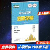 包邮2025春南方新课堂金牌学案小学数学6六年级下册配人教版人民教育版教材课本同步练习册