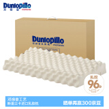 邓禄普（Dunlopillo）ECO颗粒按摩低波浪枕 斯里兰卡进口天然乳胶枕头