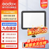 神牛（Godox） 补光灯P120C摄影灯单反摄像机相机摄像灯影视拍照婚庆常亮灯光 P120C平板灯 标配